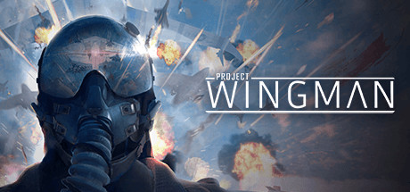 Project Wingman скачать торрент